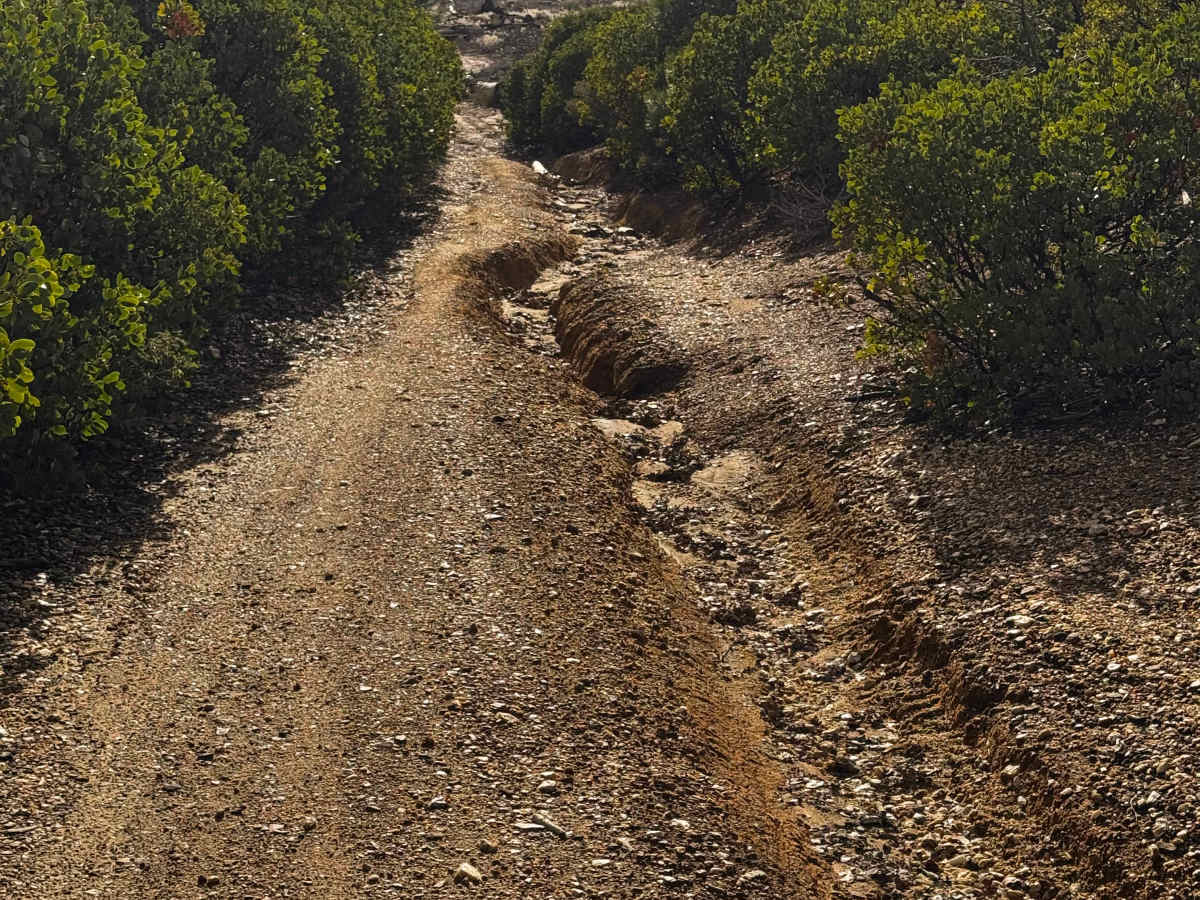 Macedon Plantatio Trail photo 3