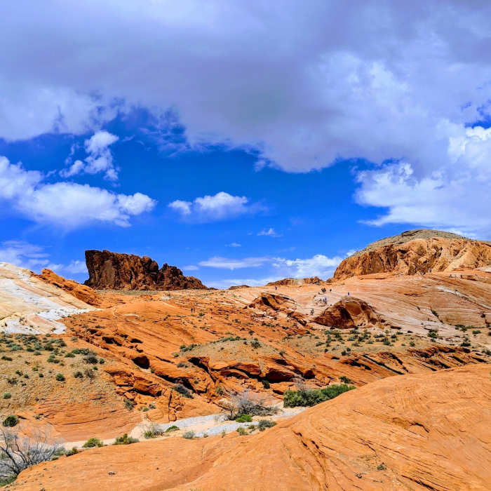 Near Fire Wave Trail