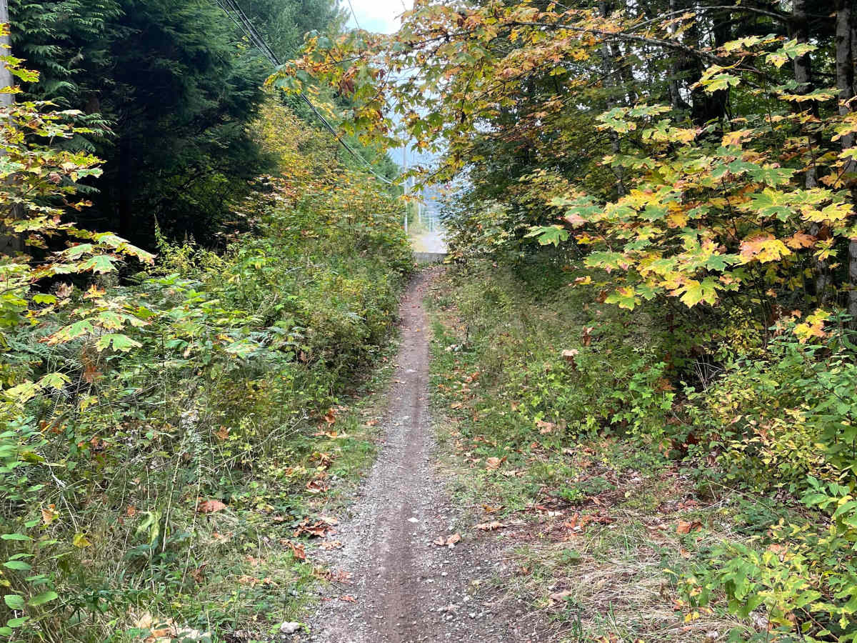 Old Government Road Single Track photo 2