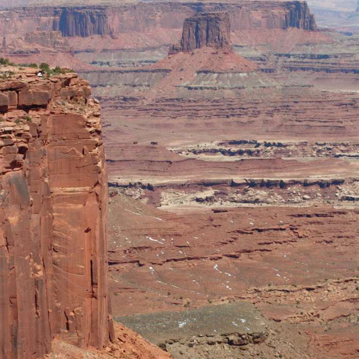 Near White Rim Overlook Trail