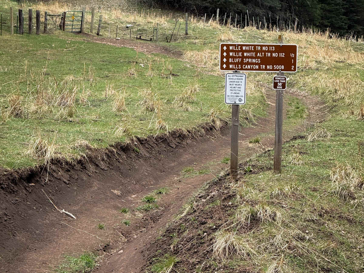 Willie White - FS 113  trail photo