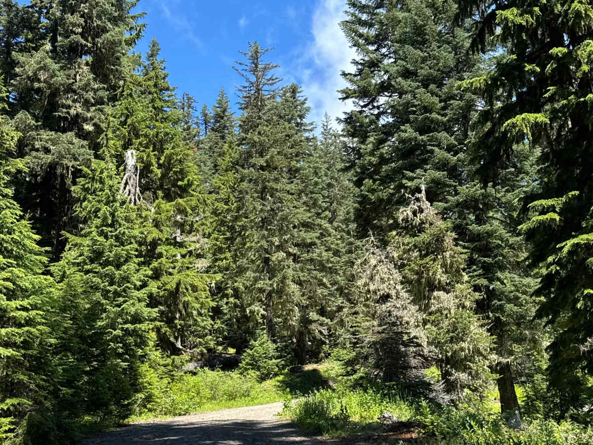 Hershberger Lookout Trail - OHV 26 photo 3