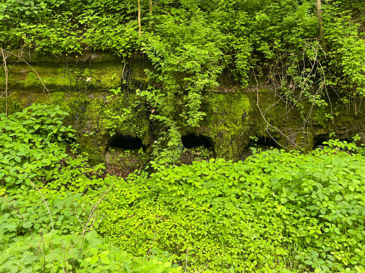 KC27B trail photo