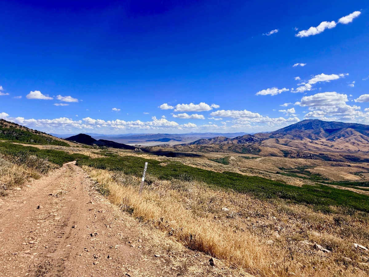 Green 1 Trail - FS 17713 photo 6