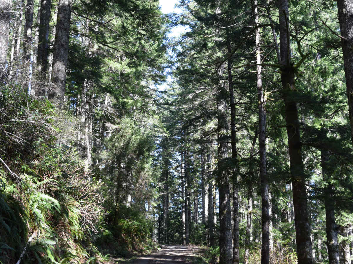 Fairview photo 2