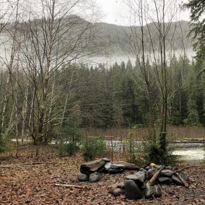 Near North Fork Quinault River Trail