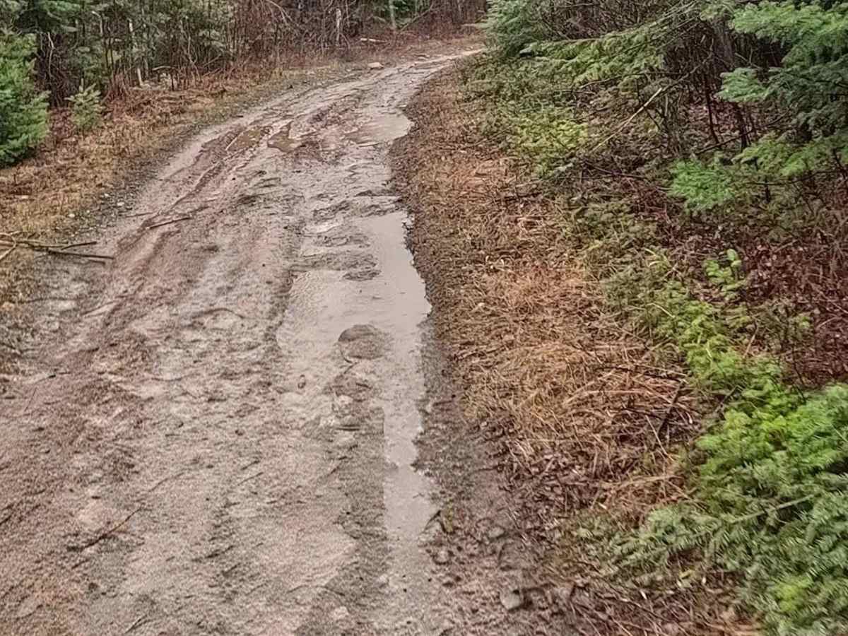 Chapel Road trail photo
