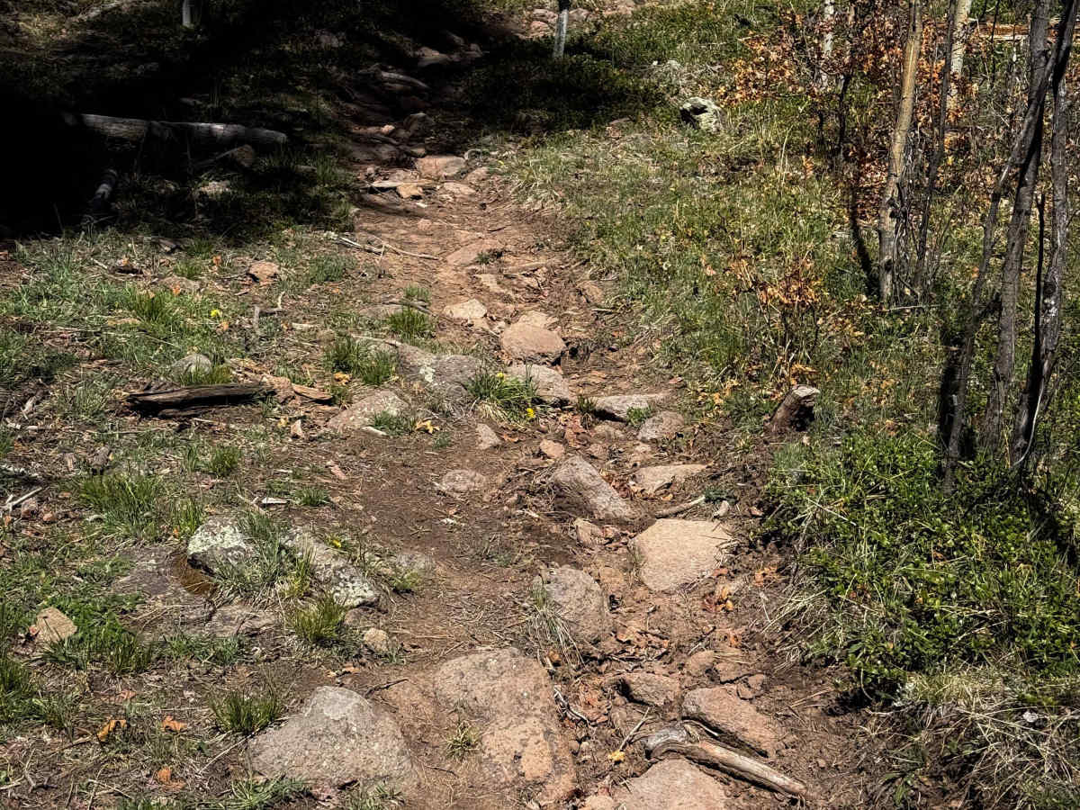 Twin Cabins - 506  photo 5