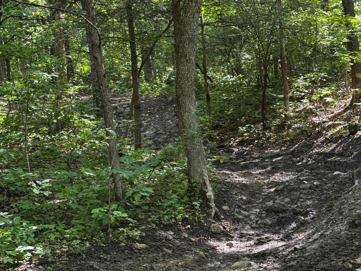 Inner Track 21 trail photo