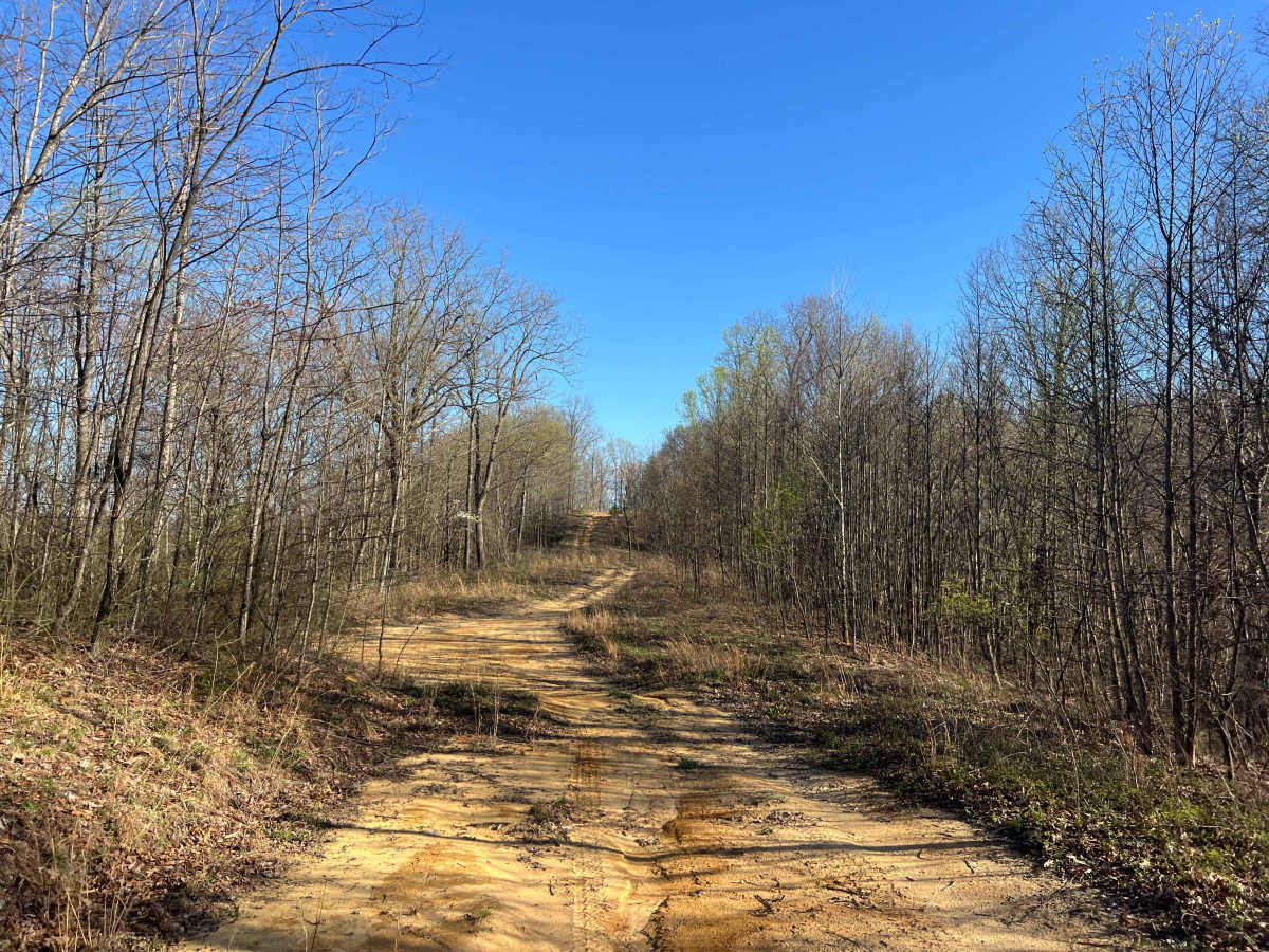KC25A trail photo
