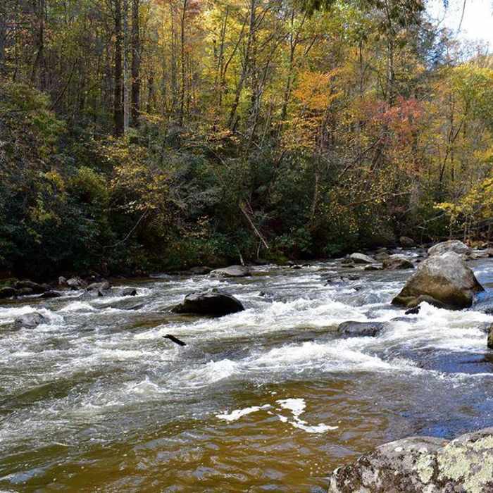 The Green River along Green River Cove Trail Near Green River Game Lands Loop #2