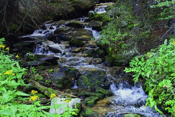 Rock Creek