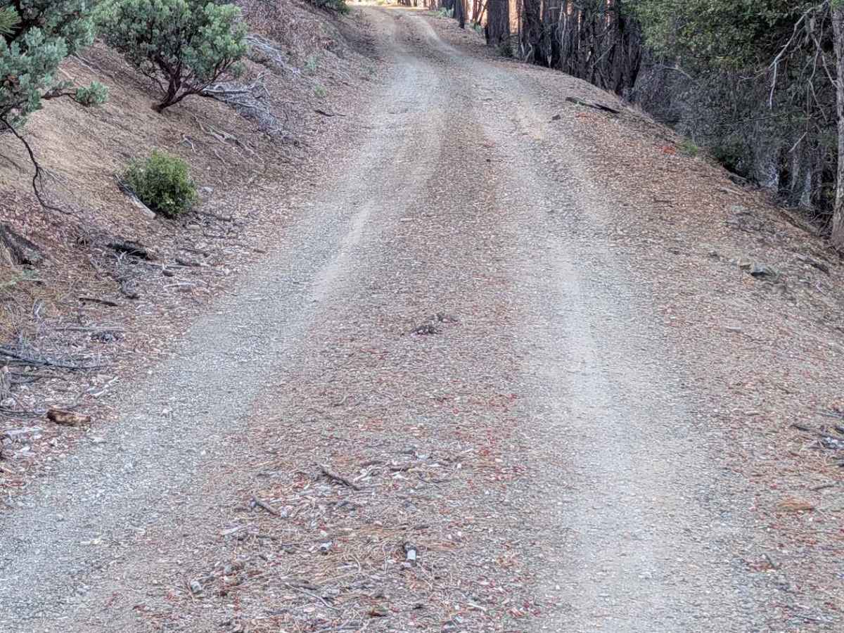 Dubakella Creek Road - FS 29N31 photo 2