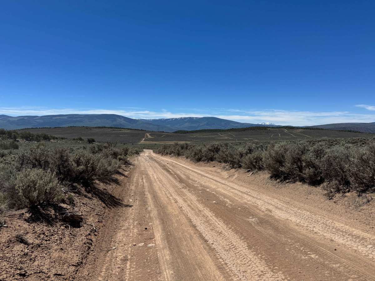 BLM 8480B photo 3