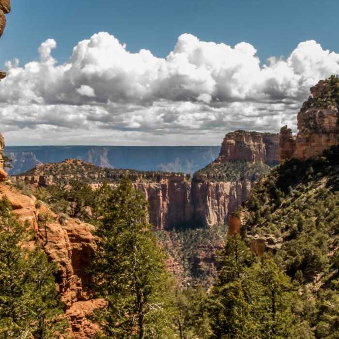 Near Cliff Springs Trail