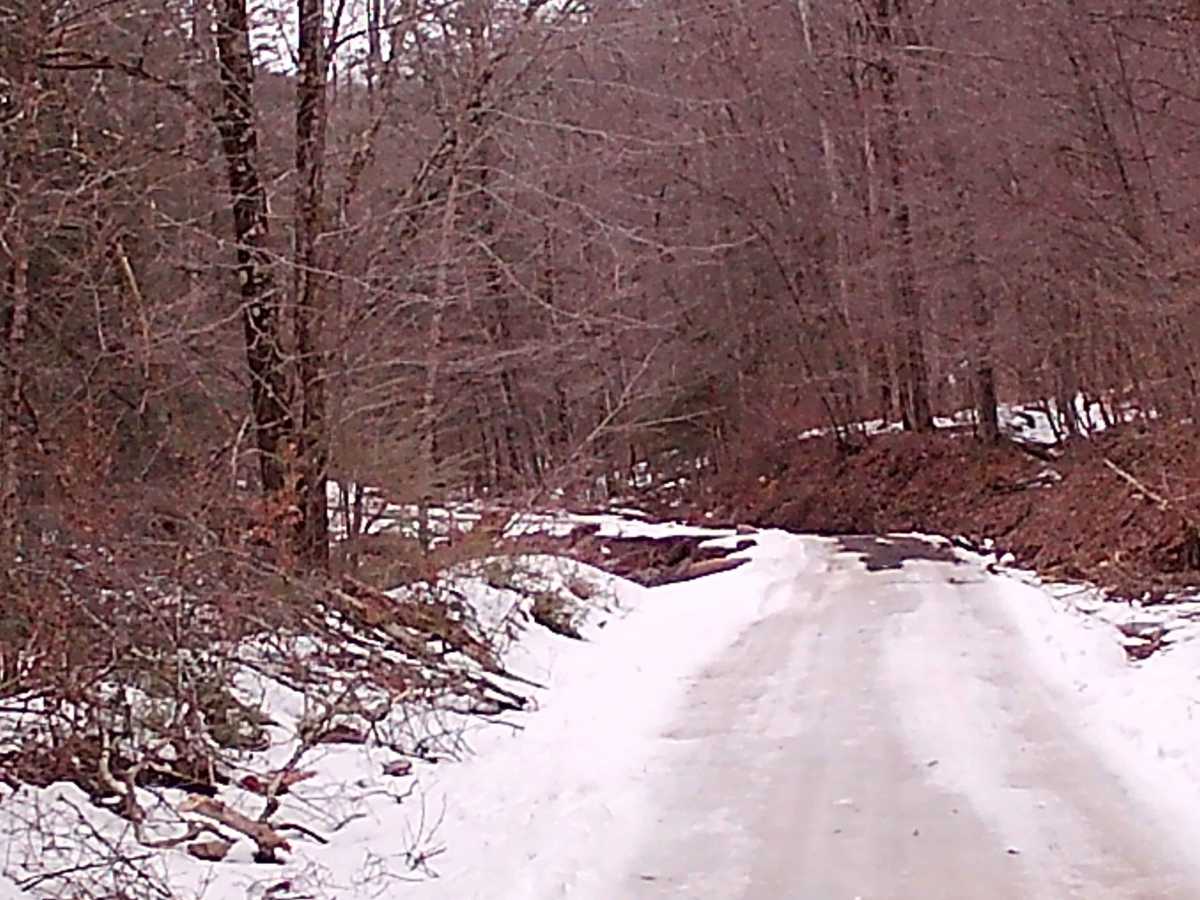 Camp Hill Road photo 3
