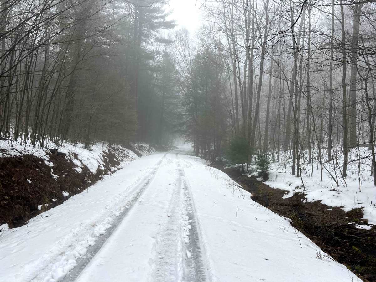 Canada Run Road photo 5