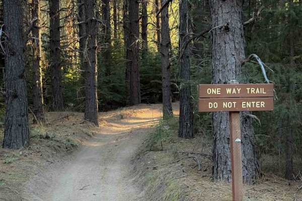 Maze Trail  