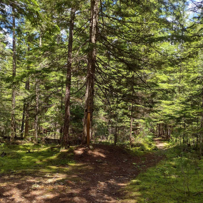 Near Navigation Camp Access