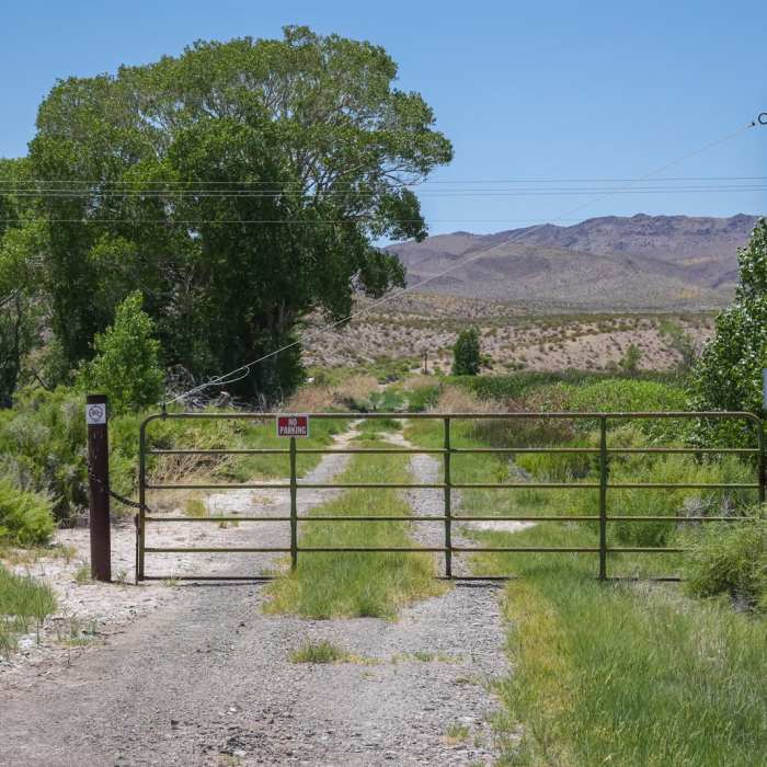 Near Middle Marsh Dike Trail Near Middle Marsh Dike Trail