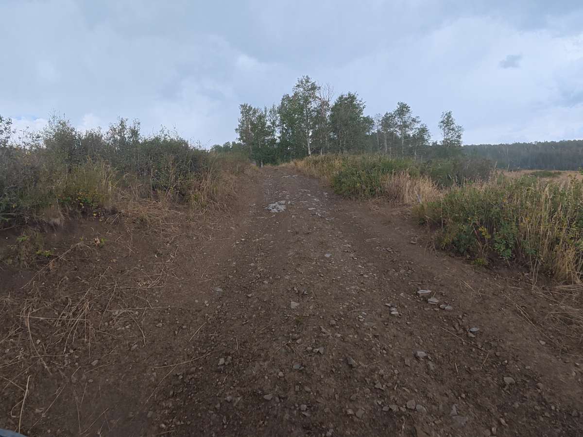 Red Elephant Hill Road - FS 811 photo 5
