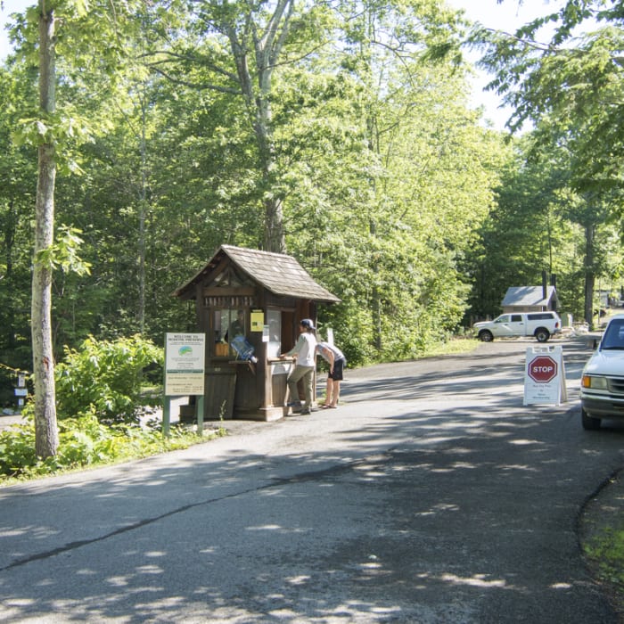 Near Millbrook Mountain + Gertrude's Nose
