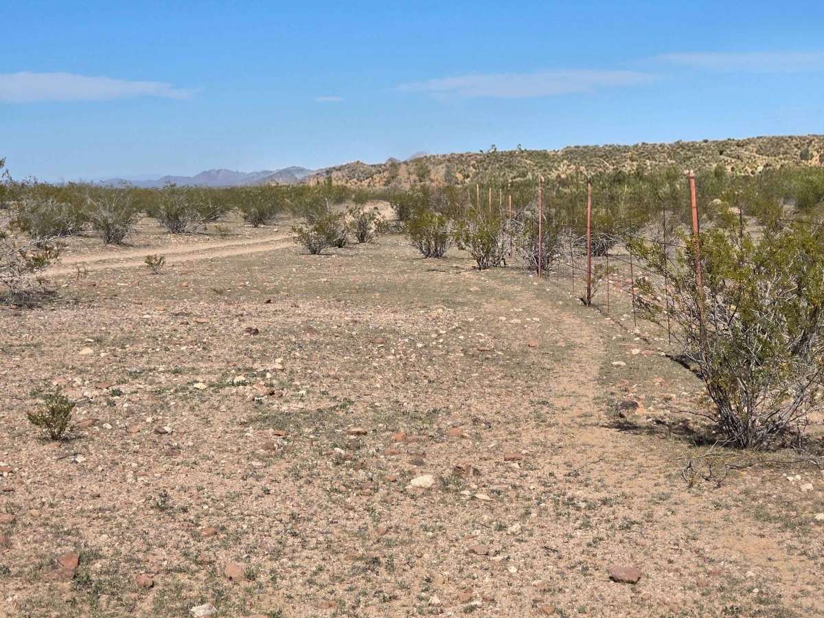Go West photo 4