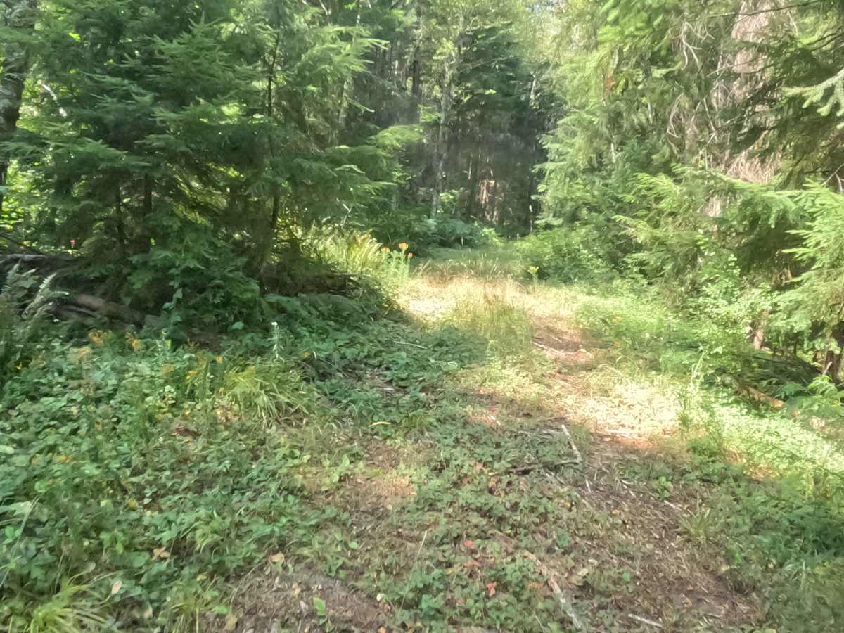 Mari-linn Road - FS 2242000 photo 2
