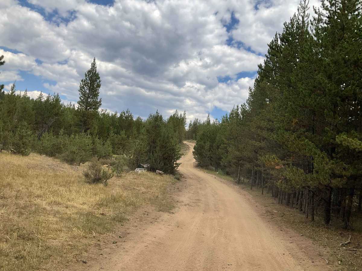 Pass Creek Branch Road trail photo