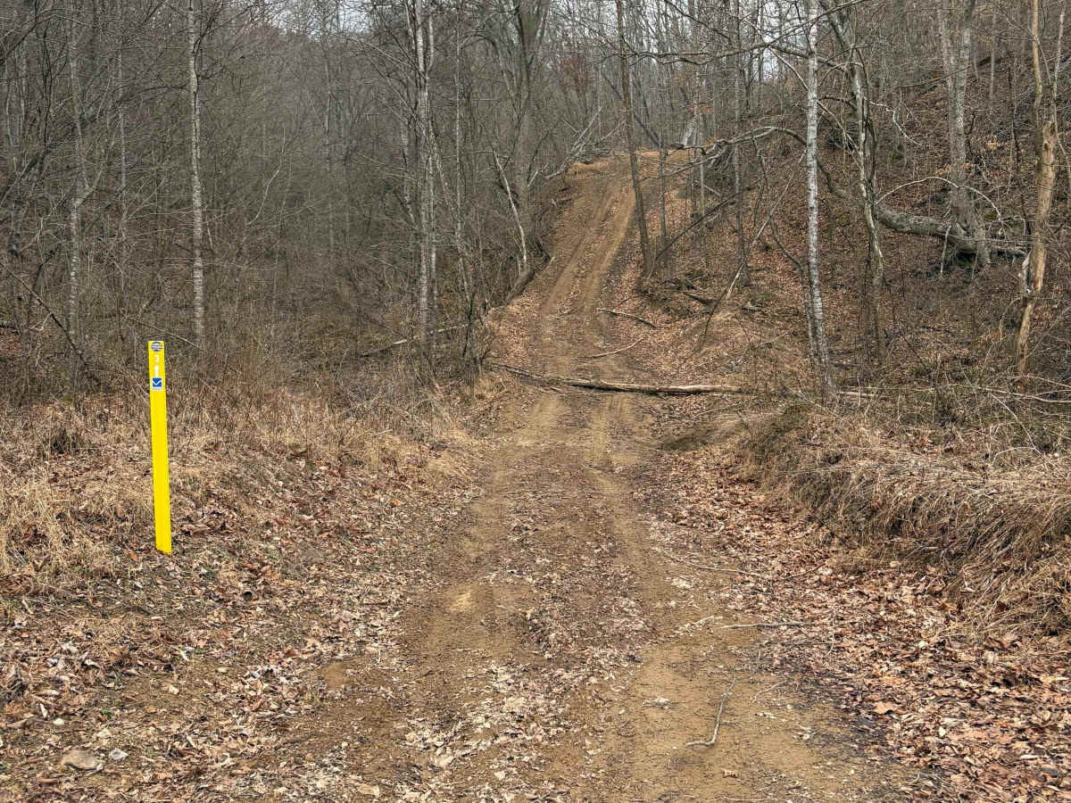 Trail 3 photo 6
