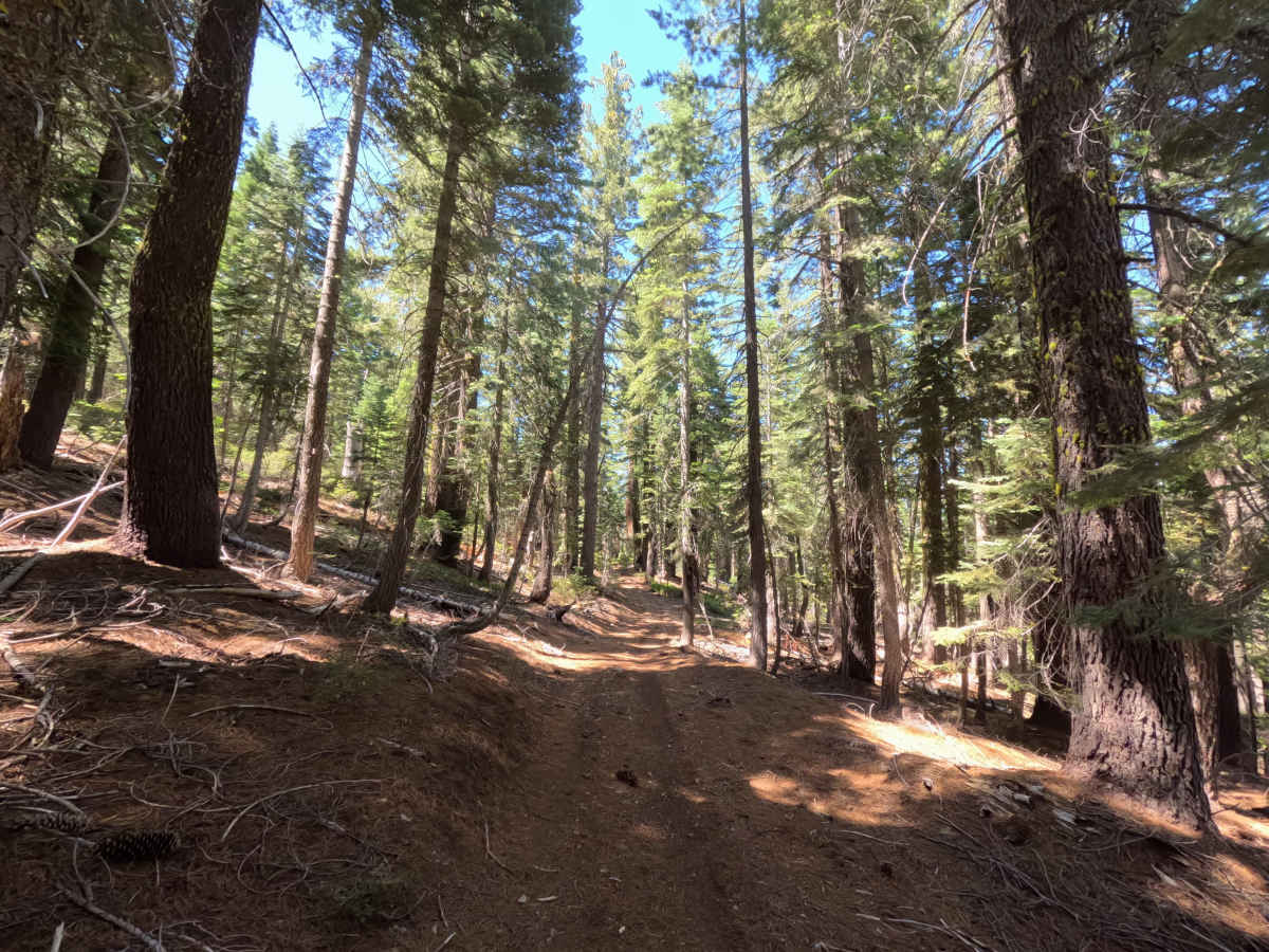 Claycroft Ridge Off Highway Vehicle Trail - Upper - FS 11E18 photo 3