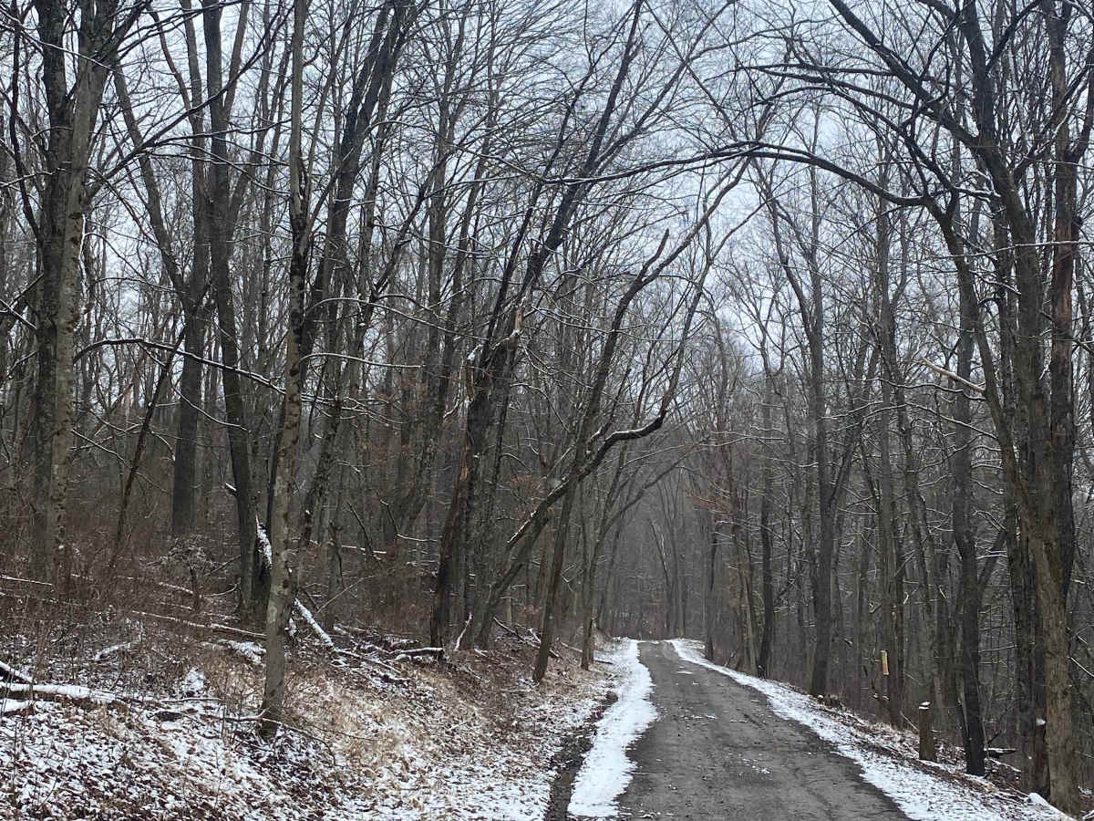 Harmon Creek Road photo 4