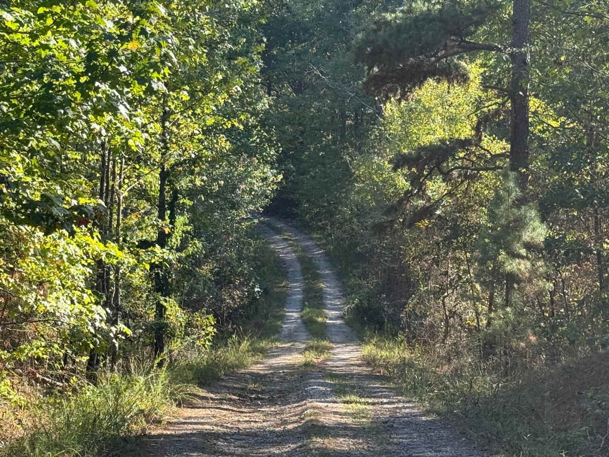Shack Creek photo 5