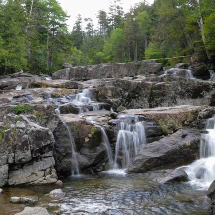 Near Calamity Brook Trail