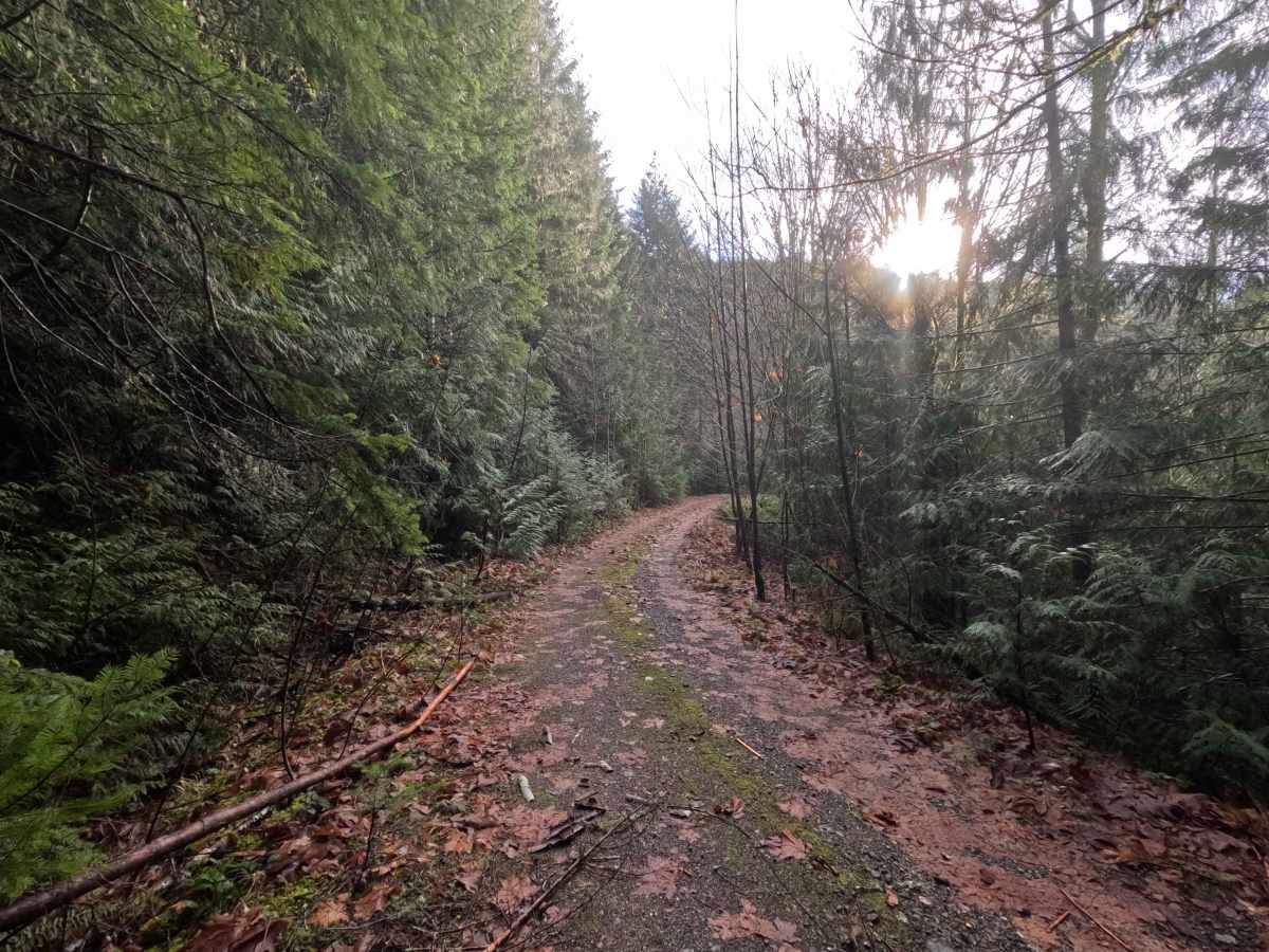 Prairie Mountain - FS 2140 photo 3