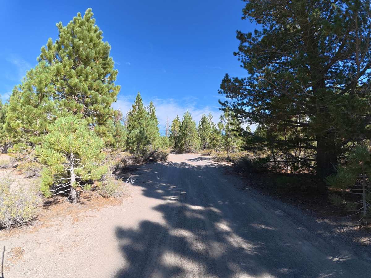 Deadman Flats - FS 3S56 photo 5