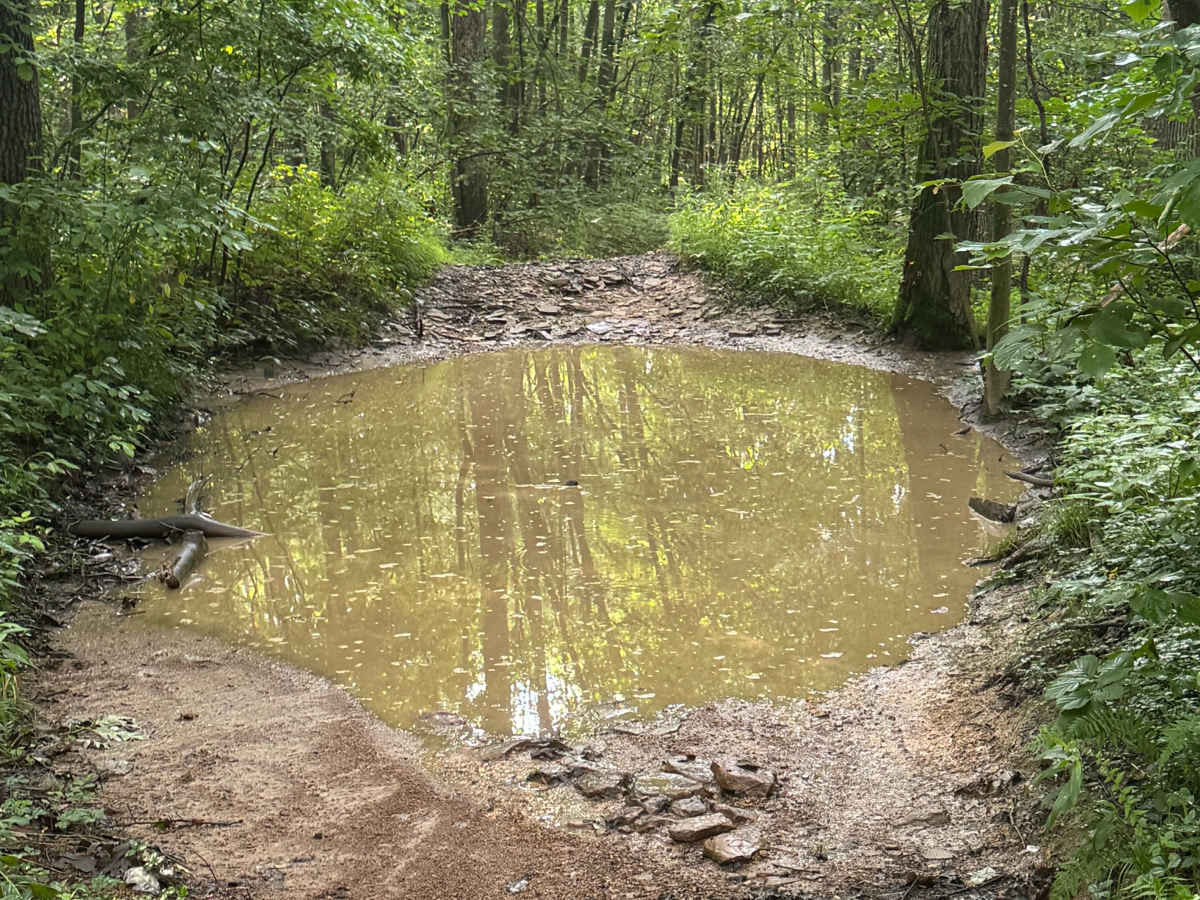 Trail 56 photo 4