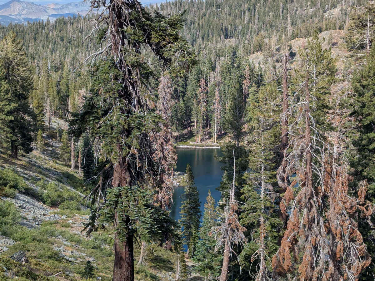 Iron Lakes Trail - FS 22E204 photo 2