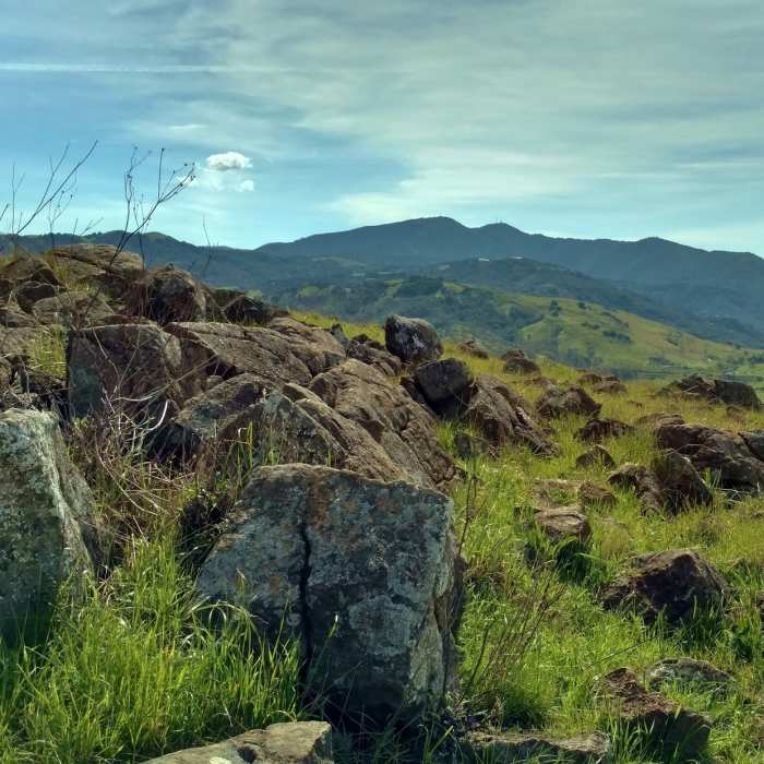 The Santa Cruz Mountains create a beautiful backdrop to the Rocky Ridge Trail. Yep, it sure is rocky! Near Rocky Ridge Trail