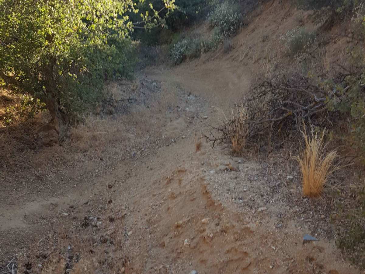 Trail 22 photo 3