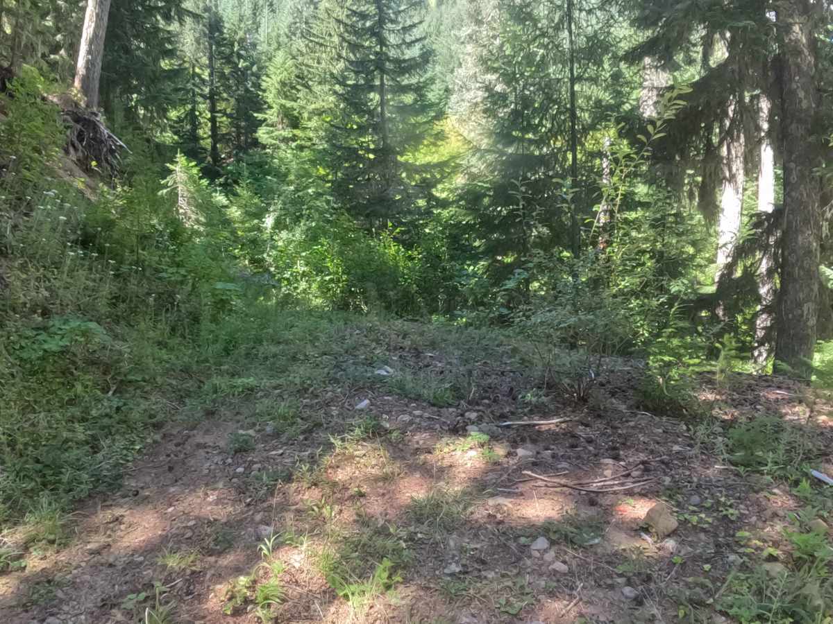 Crescent Creek Road - FS 2067510  photo 2
