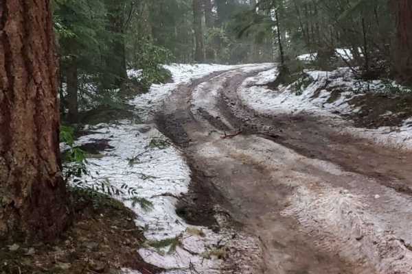 OHV Abbott Road Quarry