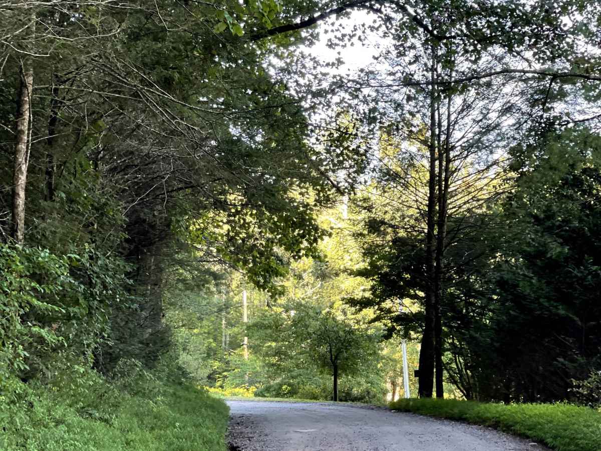Jake's Mountain Road trail photo
