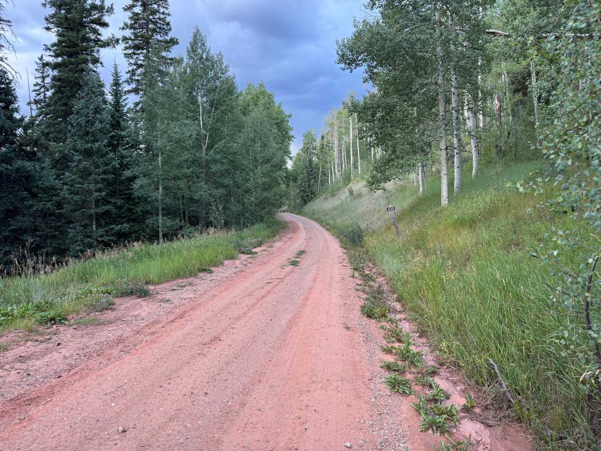 Roaring Fork Road photo 4