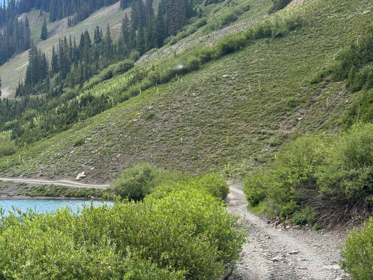 Emerald Lake Road photo 3