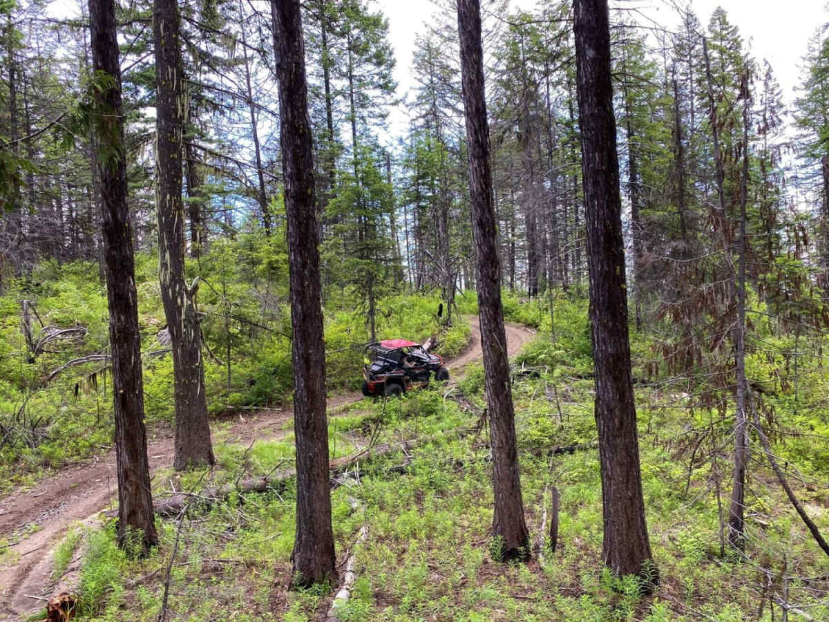Thompson Ridge Trail photo 2
