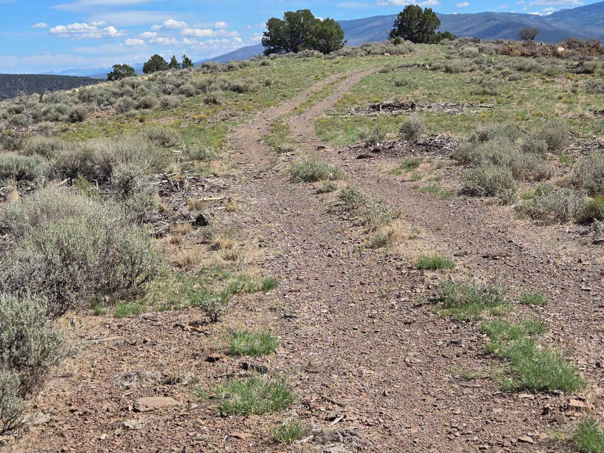 County Road 3866 photo 5