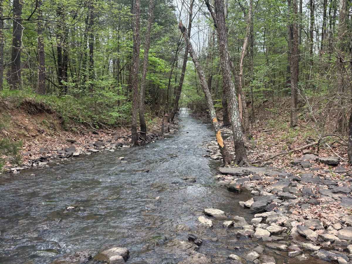 Point Remove Creek Spillway photo 6