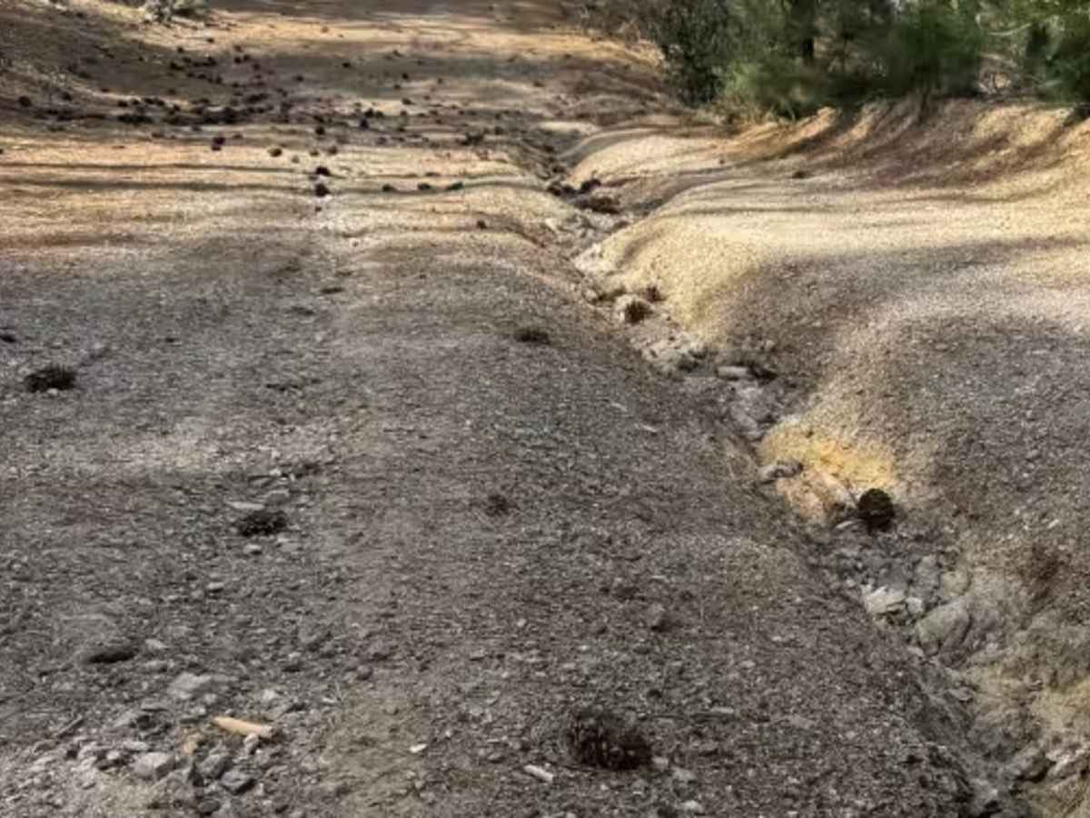 Horse Mountain - FS 17N27 photo 5