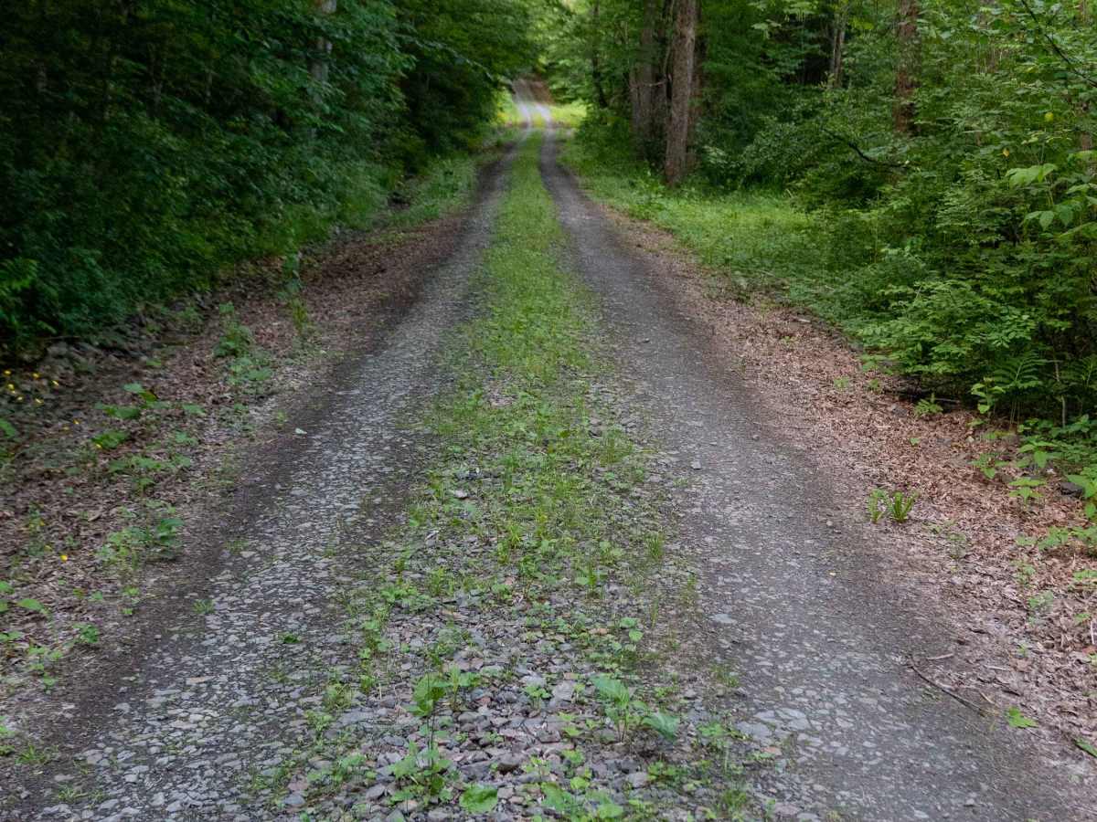 Truck Trail 3 photo 4